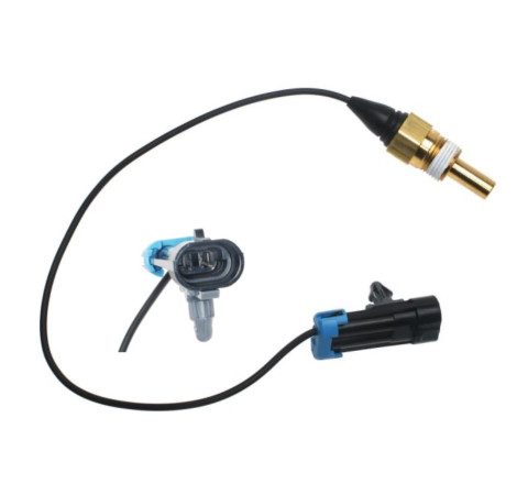 SENSOR TEMPERATURA CHEYENNE 5.3 99   12556263