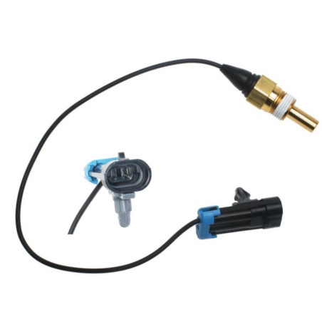 SENSOR TEMPERATURA CHEYENNE 5.3 99   12556263