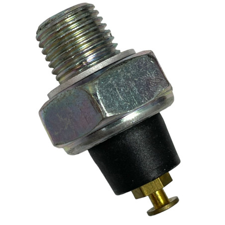 VALVULA PRESION DE ACEITE CHERY ARAUCA/ORINOCO/X1