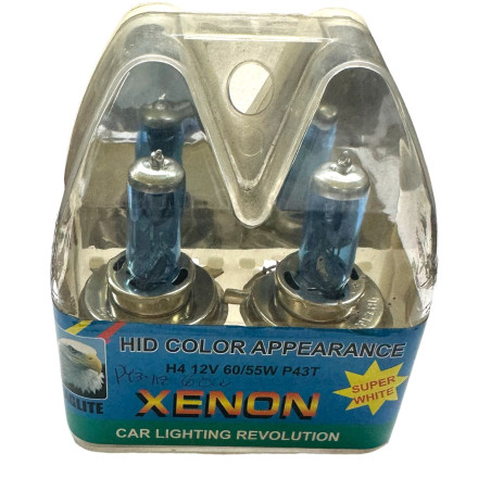 BOBMBILLOS AZUL 60W P43  DOBLE